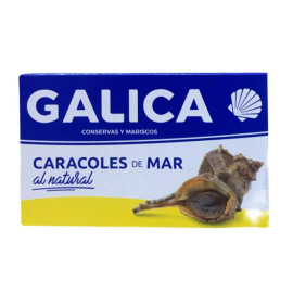 Caracoles de mar Galica al...