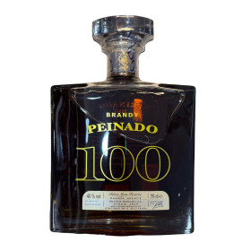 Brandy Peinado 100 Años